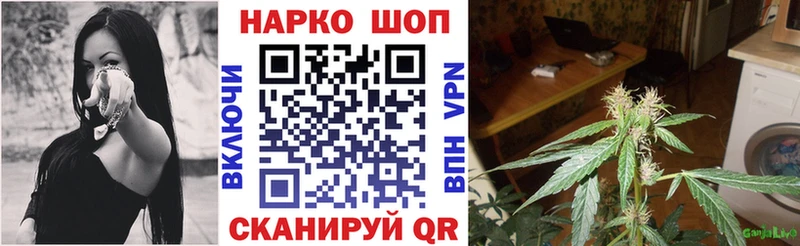 Сколько стоит Бердск Канабис  COCAIN  hydra ссылки  Кодеин  ГАШИШ  МДМА  Альфа ПВП 